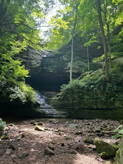A mostly-dry waterfall sits in the middle of a forest clearing. The waterfall starts at the top of a rocky cliff. The ground is rocky, and sunlight glows green through the trees lining the side of the waterfall.