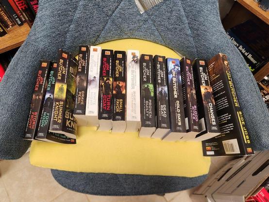 more than a dozen paperback books sit spine-out on a chair