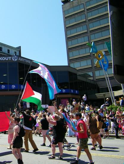 People marching in a parade down a street. The folks in front are holding a red banner. Many of the people are wearing black. Someone is holding up a light blue, light pink, white striped flag (trans flag), and another the red, black, white and green flag of Palestine.