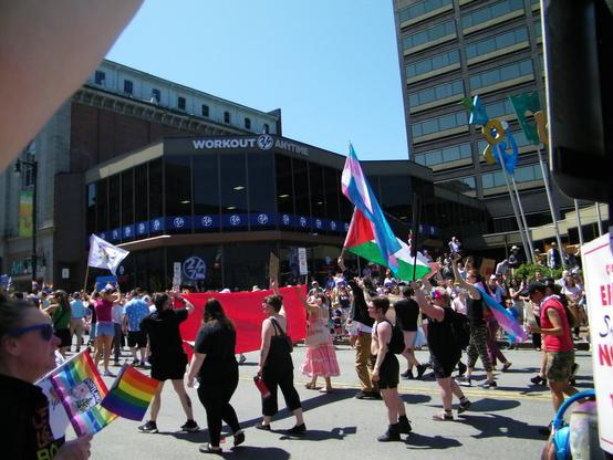 People marching in a parade down a street. The folks in front are holding a red banner. Many of the people are wearing black. Someone is holding up a light blue, light pink, white striped flag (trans flag), and another the red, black, white and green flag of Palestine.