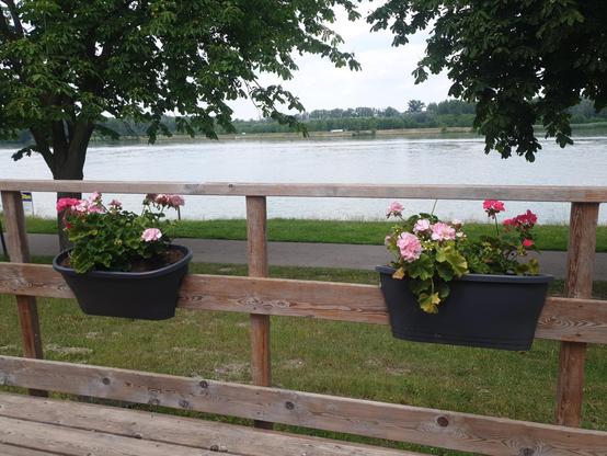 blick vom alpenvereinshaus richtung donau. links und rechts sind blumentöpfe am geländer angebracht. unten verläuft ein radweg