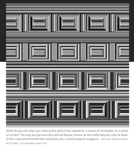 The illusion. for me - it looks like a series of long, horizontal lines of some shade of white, black, or grey, then a series of lines of those various shades forming what looks to me like boxes. this pattern repeats horiztonally several times

 What do you see when you stare at this grid of line segments: a series of rectangles, or a series of circles? The way you perceive this optical illusion, known as the Coffer illusion, may tie back to the visual environment that surrounds you, a recent preprint suggests.Anthony Norcia/Smith-Kettlewell Eye Research Institute