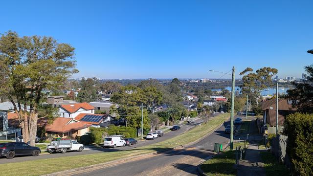 The river is visible in the distance, and most of the houses, even this close to the CBD, are hidden by trees.