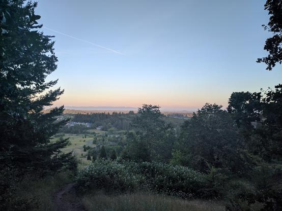 A landscape photo taken from the top of a hill, near sunset. The sky is blue and gold, and there are pine trees in the foreground. The view is that of a field dotted with trees, with houses and mountains on the horizon. Everything is very green and yellow.