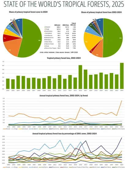 an infographic titled "STATE OF THE WORLD'S TROPICAL FORESTS, 2025" which shows:
- a pie chart of each forest's share of total primary tropical forest cover in 2020
- a pie chart of each forest's share of total primary tropical forest loss in 2002-2024
- a bar graph of annual tropical primary forest loss for each year 2002-2024
- a line graph of annual tropical primary forest loss in 2002-2024 for each forest
- a line graph of annual tropical primary forest loss in 2002-2024 for each forest as a percentage of that forest's extent in 2001