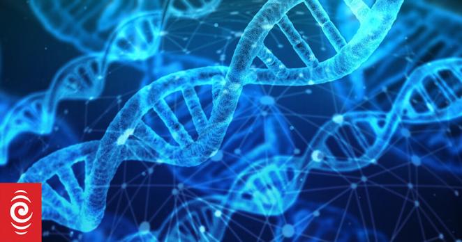 A digital rendering of DNA helix molecules, in a bright blue colour