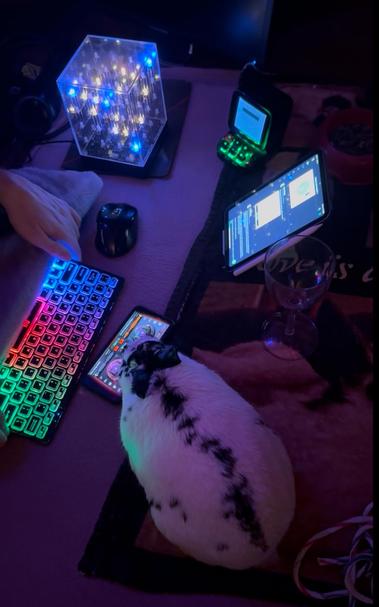 Bunny spinning tunes as everything glows around her for Trance Night