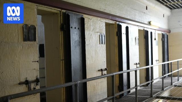 Doors of cells open with yellow walls