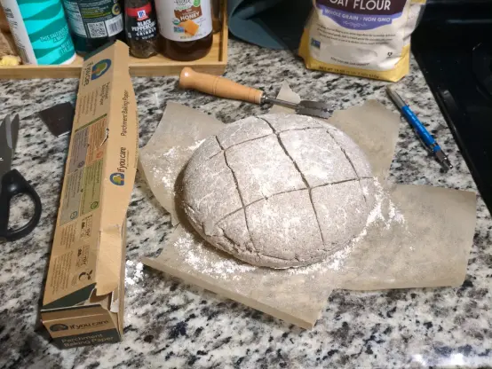 floured and scored sourdough on parchment paper resting on countertop
