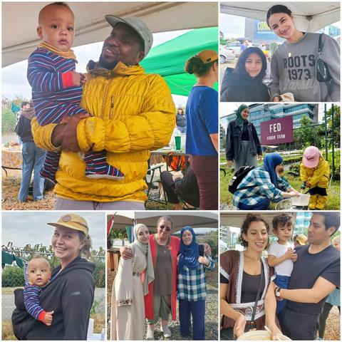 A photo collage showing a diverse group of individuals and families participating in outdoor activities at the FED Urban Farm. The collage contains six sub-images: top left shows a black man holding a toddler; top right includes two people in an outdoor shot, a girl with a woman in a "Roots 1973" sweatshirt. The middle right shows 2 women in hijabs with 2 young boys, washing dishes with a hose & large bowl, with a FED URBAN FARM sign in the background. The lower left shows a mother wearing a hat and carrying a toddler in a carrier. The bottom middle shows 3 women in a group shot. The bottom right shows a couple feeding a kid outdoors with food.
