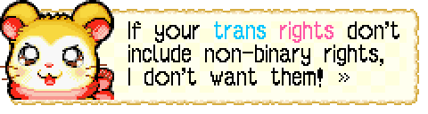 screenshot from Hamtaro Rainbow Rescue dialogue showing upset/determined pashmina (tan/white hamster with a pink scarf) saying "If your trans rights don't include non-binary rights, I don't want them!". The word trans is blue and the word rights is pink.