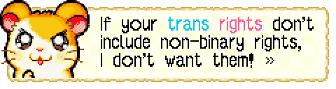 screenshot from Hamtaro Rainbow Rescue dialogue showing upset/determined hamtaro (orange/white hamster) saying "If your trans rights don't include non-binary rights, I don't want them!". The word trans is blue and the word rights is pink.