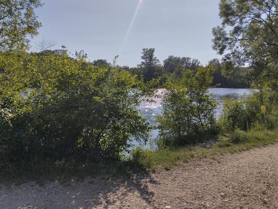 photo of a path around the shore of a lake, sunlight reflecting off of the water surface, partially obstructed by green shrubberies and trees on the shore, on the other side are various trees in deeper shades of green, the sky is bright blue and the sun is seen shining down