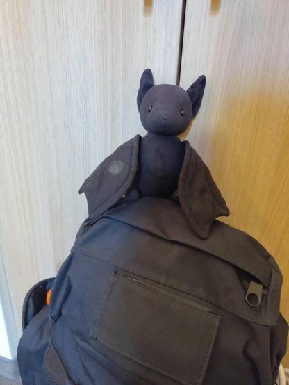 Ich, der aufgeweckte ft1, sitze auf einem fertig gepackten Rucksack, der farblich stimmig zu meinem schwarz passt und an einer Schranktür lehnt.