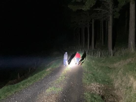 A dark night in which two tiny figures on a track are illuminated. Each carrying a possum by the tail