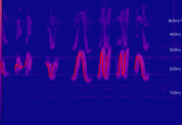 A picture of a spectrogram of Anna's voice that is in the shape of her name.