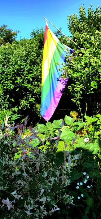 regenbogenflagge im grünen