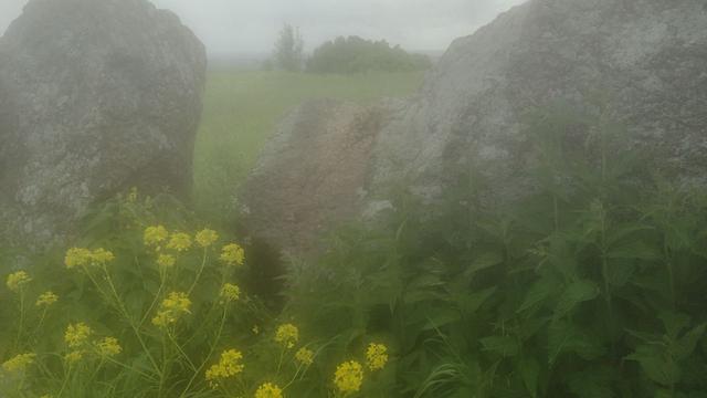 Фотография валуна, сделанная с запотевшей камеры телефона