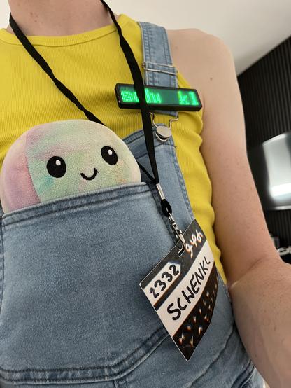 Ich schaue aus der Brusttasche einer Latzhose, getragen von meinem Menschy.