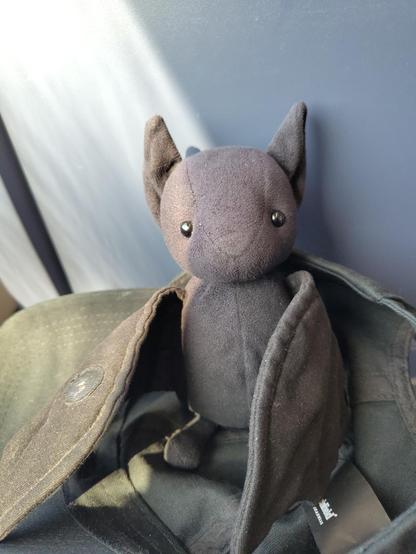 Ich, der reiseerfahrene ft1, sitze in einer Cappy auf einem Klapptisch in einem Zug und warte auf die Abfahrt (normales Bild).