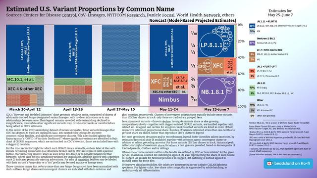 Chart: Est. U.S. Variant Proportions by Common Name
Sources: CDC, Cov-Lineages, NYITCOM, others

[ beadsland on Ko-fi ]

Reskin of CDC's Variants Nowcast, and any significant variants in GISAID not broken out by CDC.

Five bar-style tree-charts, for fortnights through 5/25–6/7. Legend of last fortnight, organized by subheadings of color-grouped families and convergent clusters. Percentages overlay each color key, reflecting share as of most recent tree-chart.

WHO-Vaccine-Target JN.1 accounts for over three fifths. JN.1.11 for over two fifths.

For 5/25–6/7, packed bubble charts fill single-variant tiles, reflecting GISAID detail not shown by CDC's Nowcast.

Legend:

JN.1.11 + FLiRT31 [blues]:
38% - LP.8.1.1 / NY†, NW.1† & other FDA-Vaccine-Target LP.8.1
⅛% - XEK

Omicron-2 BA.2 [purple]:
37% - Nimbus NB.1.8.1 / PQ

LF.7 + NTD-meets-RBD [browns]:
8% - XFG.2†, XFG.3† & other Stratus XFG
7% - XFC

JN.1 + FLiRT-LF-7 [reds]:
5% - LF.7.9 & LF.7.7.2
1% - LF.7.7.1 / PV & other LF.7

JN.1.11 [greens]:
⅜% - KP.3 & XEQ
1% - PA.1, MC.10.1, MC.1 & other KP.3.1.1 / MC

Other [greys]:
½% - LB.1.3.1 / NL
2% - XEC.4 & other XEC
0% - Other (not specified)
_____

Nimbus NB.1.8.1 / PQ is a scion of left-field Razor-Blade-Throat XDV.

Razor-Blade-Throat XDV was a child of Winter 2024's WHO-Vaccine-Target JN.1 and left-field recombinant XDE.

XDE was a child of left-field Hyperion grandkid FL.13.4 and left-field Hippogryph scion GW.5.1.

[Some footnotes omitted, due to too many recombinants.]