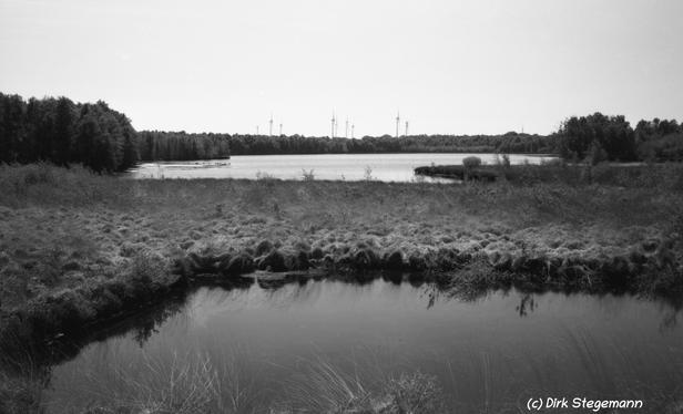 Das Naturschutzgebiet Theikenmeer bei Werlte