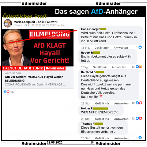 Es wird eine Lüge über Dunja Hayali verbreitet, die AfD hätte sie angeklagt und sie wäre verurteilt worden. Was alles nicht stimmt!

Auf einem öffentlichen Profil mit 3.550 Follower heißt es "AfD klagt Hayali vor Gericht! Wegen Beleidigung.".

Wir zeigen auf Slide 1 u.a. die Kommentare 
"Wird auch Zeit. Linke Großschnauze!! Betreibt nur Hass und Hetze. Zurück in ihr Herkunftsland.", "Endlich bekommt dieses subjekt ihr fett ab.", "Diese Hayali gehörte längst aus Deutschland ausgewiesen. Dies nicht zuletzt weil sie permanent nur Hass und Hetze gegen das Deutsche Volk betreibt. Raus mit ihr!!", "WEG MIT DIESEM DRECK." und "Diese Gestalt gehört von den Bildschirmen verbannt."