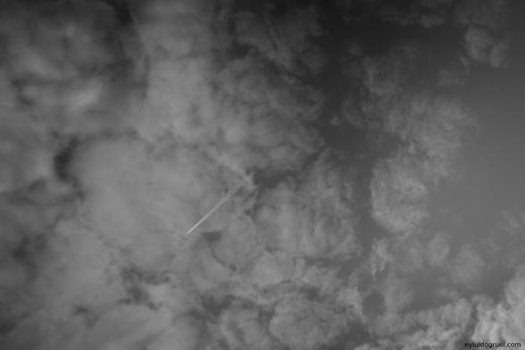 a single plane flying through high clouds. eyluldogruel.com