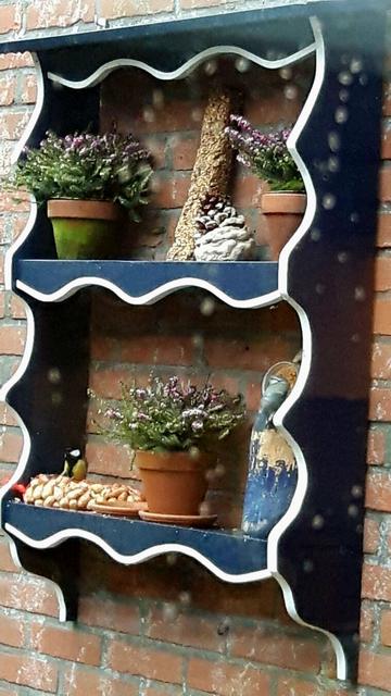 A blue and white painted wall rack, two shelves and scalloped edges. Plants in it and food for birds. There are two birds in the rack, a great tit on the food and a pin-tailed tit on the "holzschuh". 😉