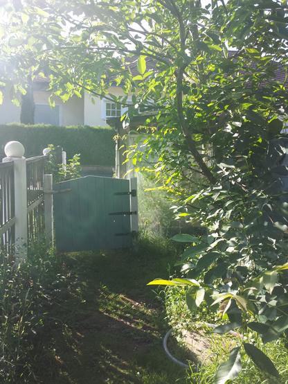 Durch das kleine blaue Gartentörchen taucht man in den grünen Dschungel und hat Zugang zu dem Tiny Haus.