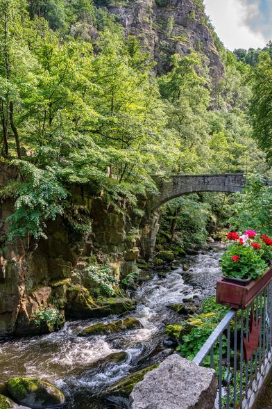 Blick entlang des Flusses. Steine im Flussbett. Auf der gegenüberliegenden Seite Wald und dahinter Berge. Im Vordergrund ein Geländer und darauf ein Blumenkasten