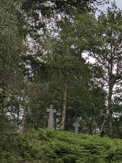 two very tall Celtic cross grave stones seen on top of a small hill and surrounded by bracken and trees