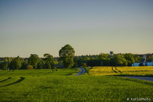 A green and a yellow field, divided by a road.