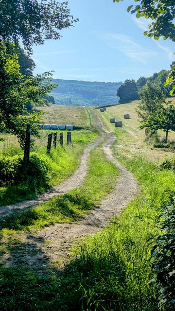 Feldweg führt einen Hügel hoch.