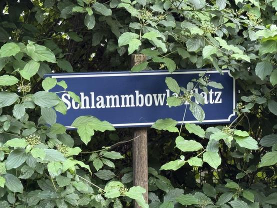 A street sign reading “Schlammbowleplatz” near the border of our back porch.