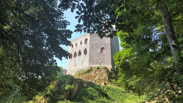 a travers les arbres, on voit le château de Spesbourg apparaître