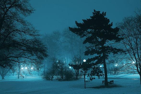 A snowy park with blue atmospheric lights