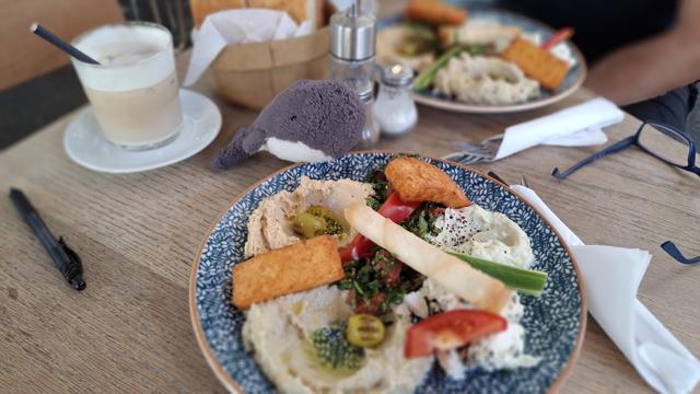 Reisewali mit einem Iced Latte, Baba Ganoush, Börek, Hummus,  Tabouleh, Feta, Gurke und Paprika