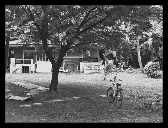 An outdoor photo of a lush yard dominated by a large, leafy tree. A narrow stone path winds through the grass, where a bicycle is parked. To the left sits an old rocking seesaw. In the background, a single-story house is partially visible, with various pieces of discarded furniture and building materials piled against it. - Google Gemini 2.5 Pro