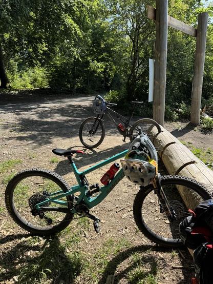 Zwei Mountainbikes stehen im Wald