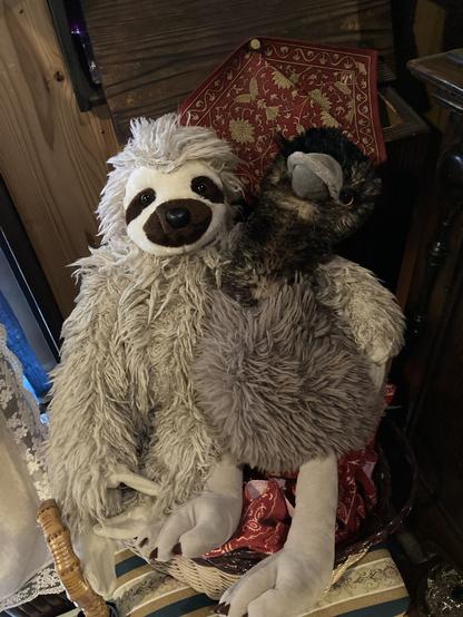 ミユビナマケモノとエミューのぬいぐるみの写真
