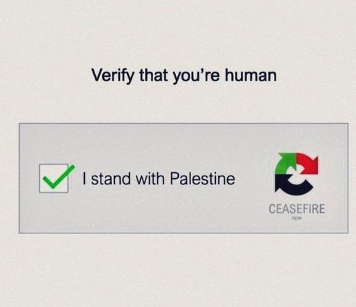 Mock up of a CAPTCHA

Verify that you're human.

[ ✅ ]    I STAND WITH PALESTINE        

Captcha wheel appears in the colours of the Palestinian flag, with the word CEASEFIRE underneath