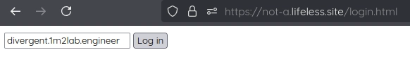 Login -ikkuna. Log In napista avautuu instanssin Oauth kirjautumisikkuna, jonka kautta UI käynnistyy