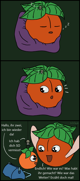 ein Tomaten-Comic bei dem die große Tomate und die Spinne vor sich hin dösen bis plötzlich die kleine Tomate wieder da ist und beide aufgeregt und begeistert zu ihr stürmen und sie mit Fragen überhäufen.
