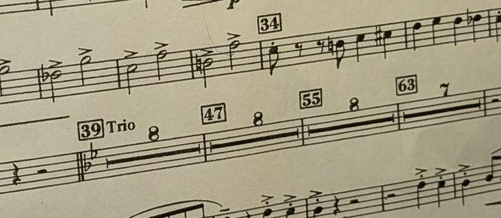 A section of a piece of printed music that is centered on a Trio section which consists of 4 sections that are tacet. Three of the sections are 8 measure blocks of rests notated with a single long rest symbol and the number 8. All the 8's are printed upside down.