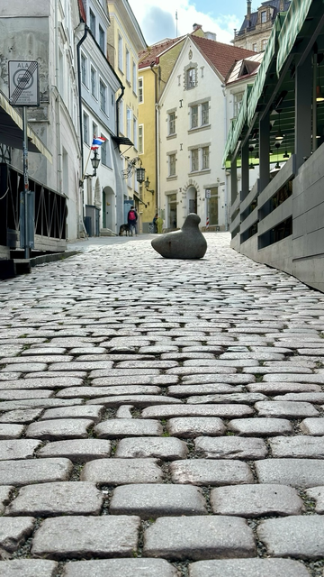 A bird shape carved from rock squats on a cobblestone street with colorful buildings in the background