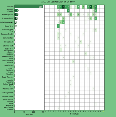 Chart generated by BirdNET-Pi with rows of all detected birds for Saturday, June 21, 2025 in decending order.  The first large column displays a bar chart of relative frequency; the 24 reamaining columns create cells with the bird count for each hour of the day shaded by relative count.