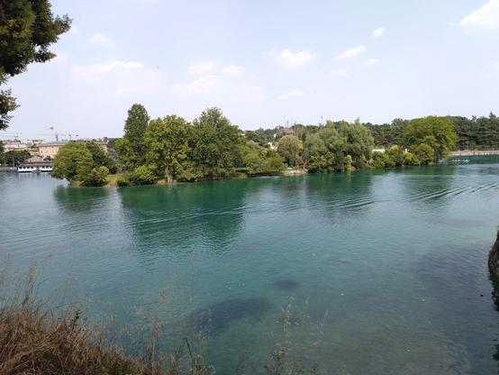 Insel im städtischen Gewässer