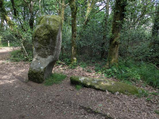 Menhir du Guellec.