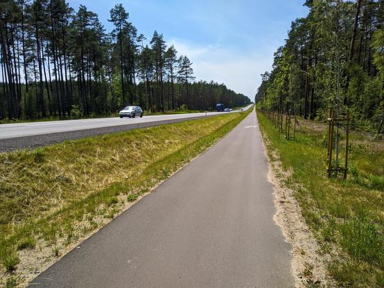 Asfaltowa droga dla pieszych i rowerów wzdłuż szosy.